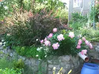 065_1_1.webp
