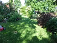 055_1_1.webp