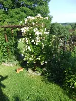 050_1_1.webp