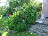 052_1_1.webp