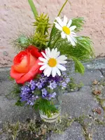 P1110517.webp