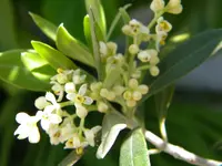 DSCN8485.webp