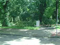 BILD4905.webp