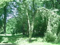 BILD4908.webp