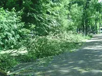 BILD4909.webp
