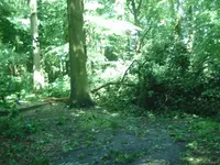 BILD4912.webp