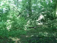 BILD4914.webp
