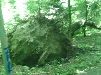 BILD4915.webp