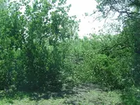 BILD4922.webp