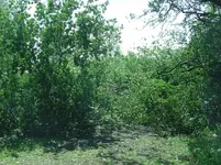 BILD4923.webp