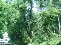 BILD4925.webp