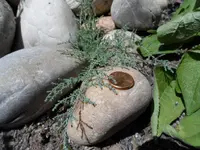 Juni14 (7).webp