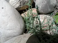 Juni14 (8).webp