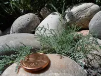 Juni14 (9).webp