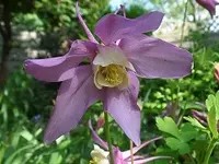 SAM_1594.webp