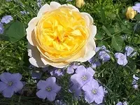 SAM_1694.webp
