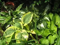012_1024x768.webp