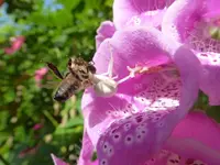 P1110080.webp