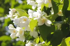 _MG_2580.webp
