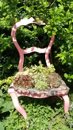 DSCF6104.webp