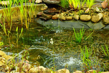 Wasser auffüllen2_640.webp