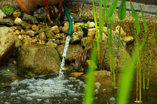 Wasser auffüllen3_640.webp
