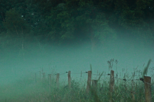 Abend_Nebel_Zaun_auf der Pferdekoppel3_800.webp