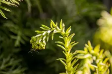 Stg 14-05-22-2285.webp