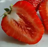 DSC01325.webp