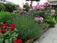 DSC01613.webp
