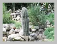 125.webp