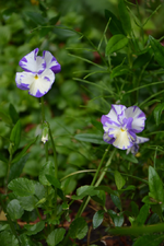 DSC_1814.webp