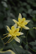DSC_1815.webp