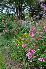DSC_1817.webp
