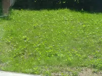 DSC01507.webp
