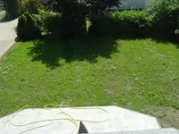 DSC01509.webp