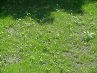 DSC01510.jpg