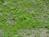 DSC01511.webp