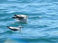 Fishing day 2014 (29)+.webp