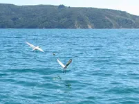 Fishing day 2014 (30)+.webp