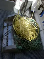 Scallops (3).webp