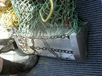 Scallops (2).webp