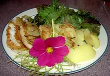 Fischfilet + Salat.webp