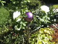 BILD2863.webp