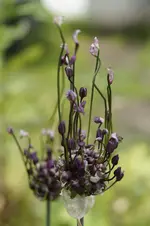 _DSC5987.webp