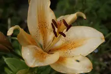 _DSC5969.webp