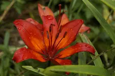 _DSC5968.webp