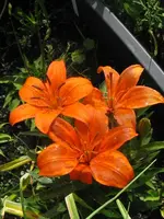 001_576x768.webp