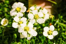 Stg 14-06-11-2595.webp