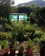 Garten2.webp